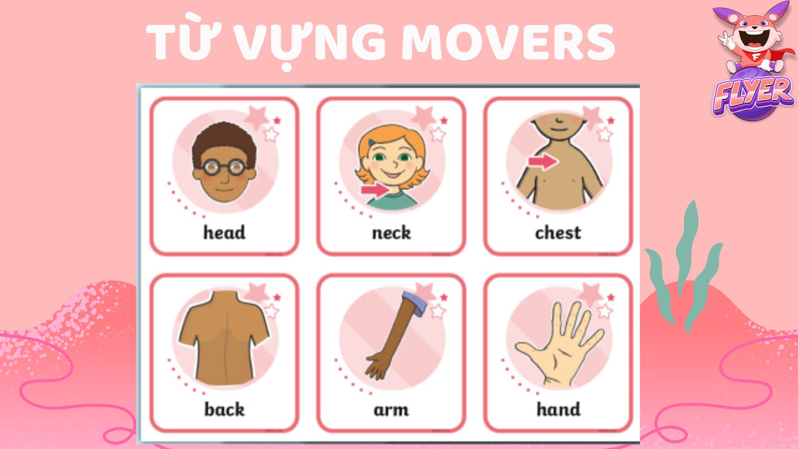 Từ vựng Movers Cambridge The body and the face