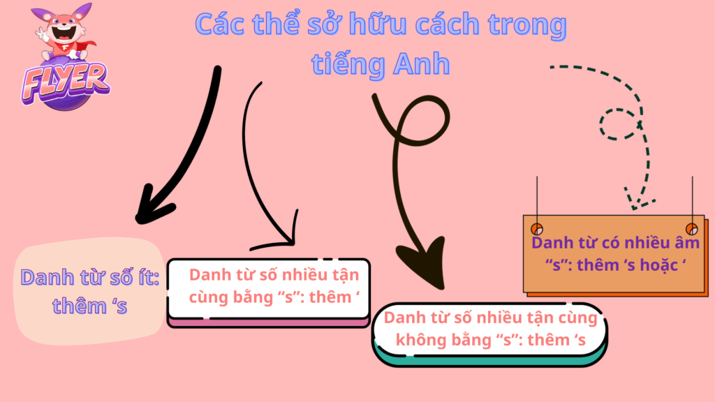 Các thể sở hữu cách trong tiếng Anh